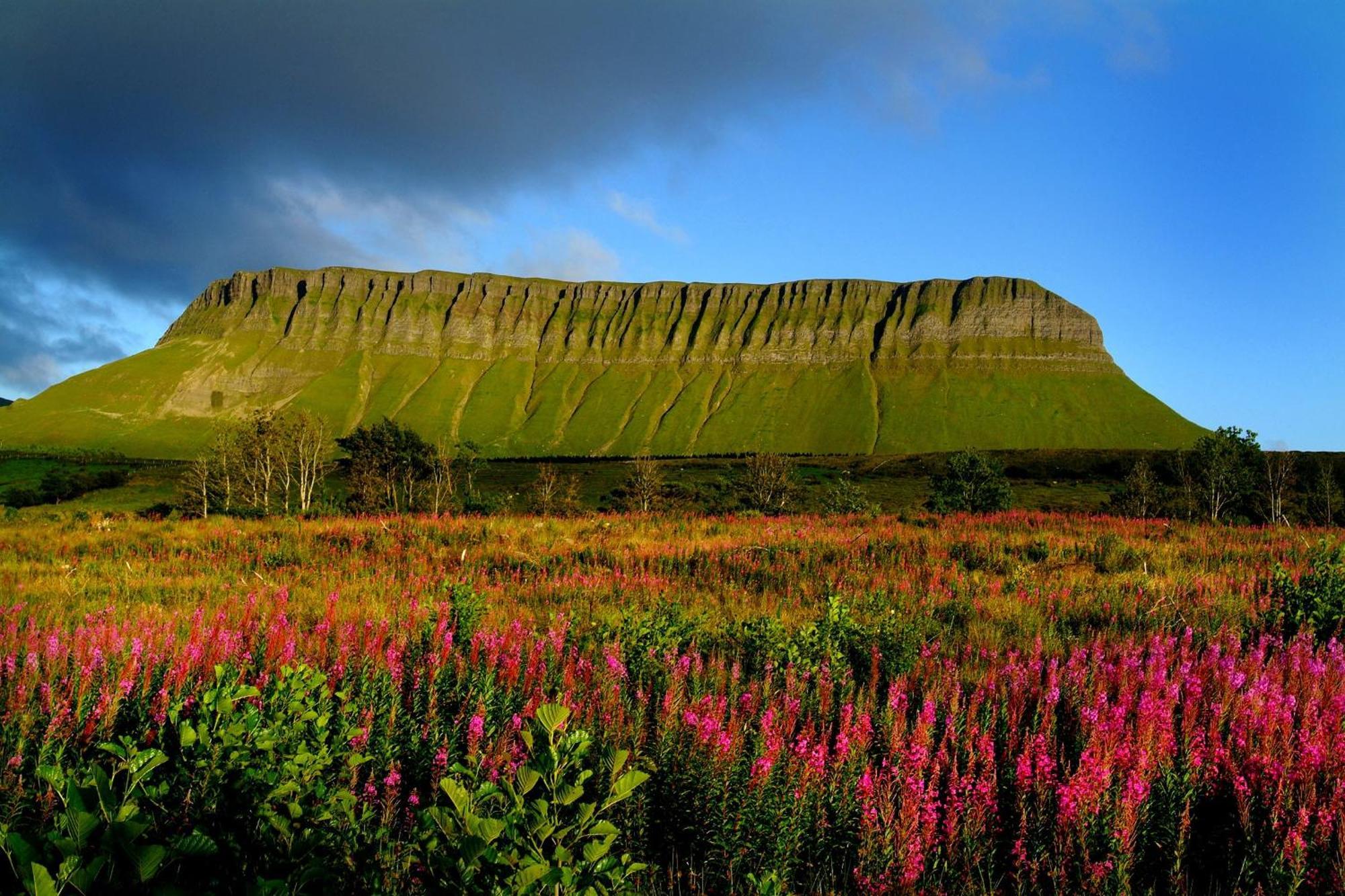 Central Sligo Townhouse Villa Eksteriør billede